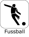 Fussballabteilung, Senioren- und Jugendmannschaften